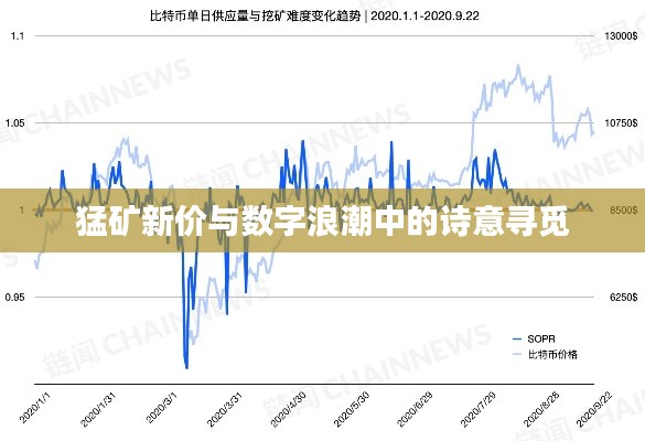 猛矿新价与数字浪潮中的诗意寻觅