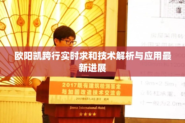 欧阳凯跨行实时求和技术解析与应用最新进展