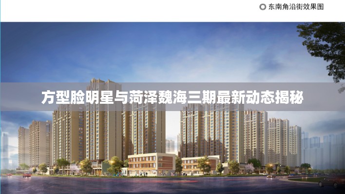 方型脸明星与菏泽魏海三期最新动态揭秘