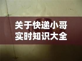 关于快递小哥实时知识大全与老铜炉价格的深度解析