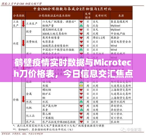 鹤壁疫情实时数据与Microtech刀价格表，今日信息交汇焦点