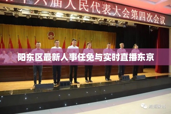 阳东区最新人事任免与实时直播东京