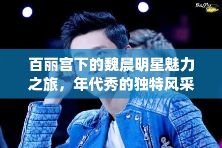 百丽宫下的魏晨明星魅力之旅,年代秀的独特风采