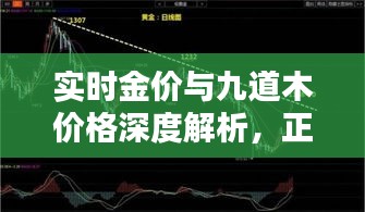 实时金价与九道木价格深度解析,正反观点与均衡探讨