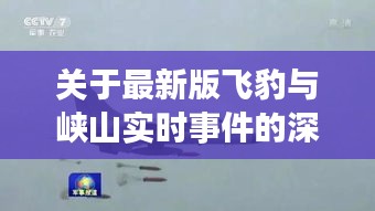 关于最新版飞豹与峡山实时事件的深度解析
