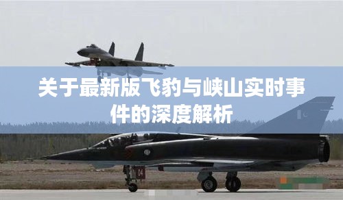 关于最新版飞豹与峡山实时事件的深度解析