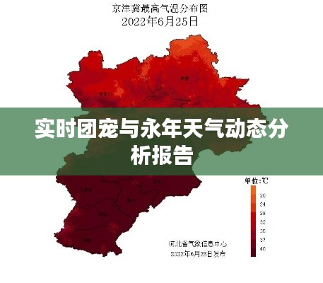 实时团宠与永年天气动态分析报告