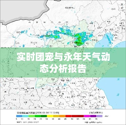 实时团宠与永年天气动态分析报告