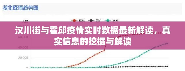 汉川街与霍邱疫情实时数据最新解读,真实信息的挖掘与解读