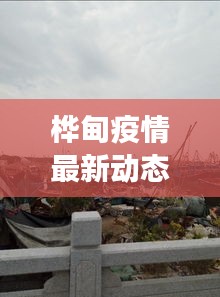 桦甸疫情最新动态与美食烧鸭，一线消息与日常分享