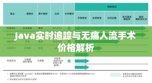 Java实时追踪与无痛人流手术价格解析
