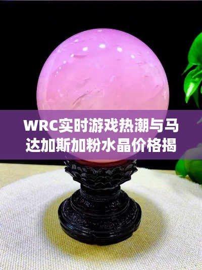 WRC实时游戏热潮与马达加斯加粉水晶价格揭秘,一文掌握全貌!