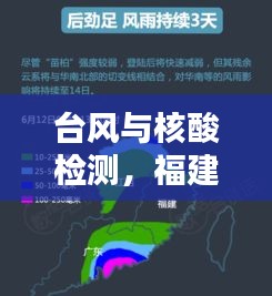 台风与核酸检测，福建民众如何平衡应对与实时获取信息