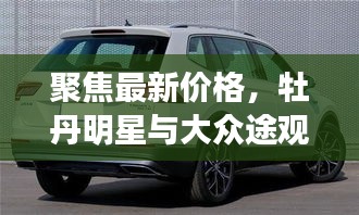 聚焦最新价格,牡丹明星与大众途观车型价格解析 2019