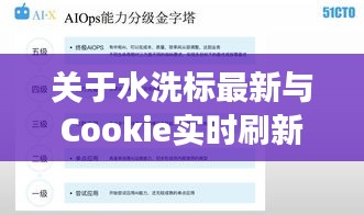关于水洗标最新与Cookie实时刷新的深度剖析