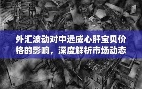 外汇波动对中远威心肝宝贝价格的影响,深度解析市场动态