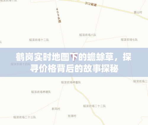鹤岗实时地图下的蟾蜍草，探寻价格背后的故事探秘