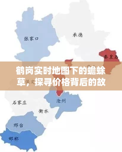 鹤岗实时地图下的蟾蜍草,探寻价格背后的故事探秘