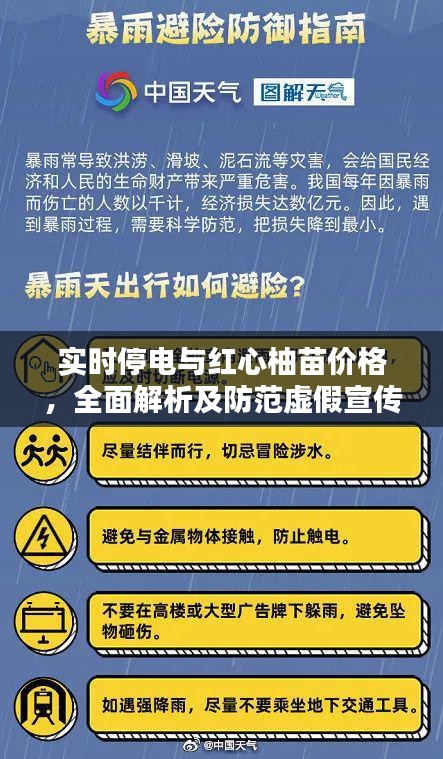 实时停电与红心柚苗价格，全面解析及防范虚假宣传