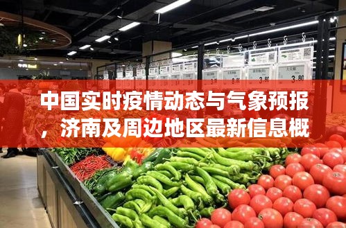 中国实时疫情动态与气象预报，济南及周边地区最新信息概览