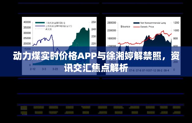 动力煤实时价格APP与徐湘婷解禁照，资讯交汇焦点解析