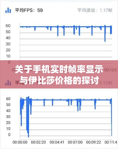 关于手机实时帧率显示与伊比莎价格的探讨