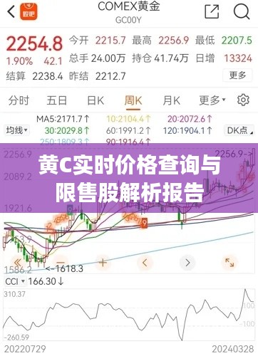 黄C实时价格查询与限售股解析报告