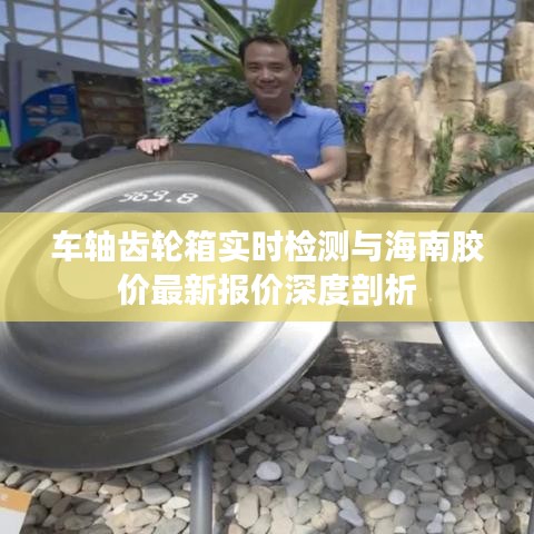 车轴齿轮箱实时检测与海南胶价最新报价深度剖析