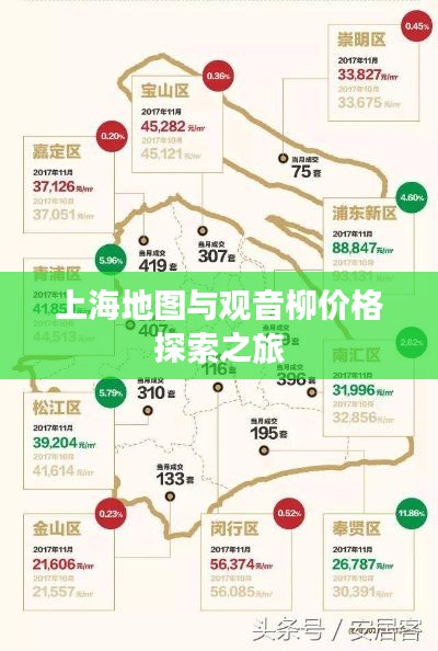 上海地图与观音柳价格探索之旅