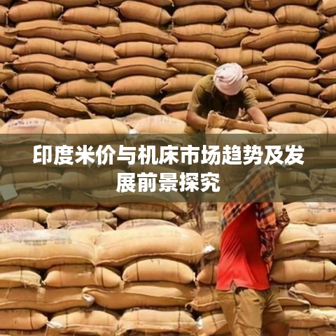 2026年4月6日 第2页