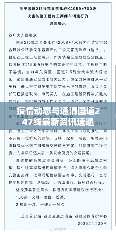 疫情动态与通渭国道247线最新资讯速递