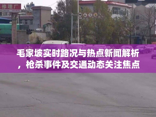 毛家坡实时路况与热点新闻解析，枪杀事件及交通动态关注焦点