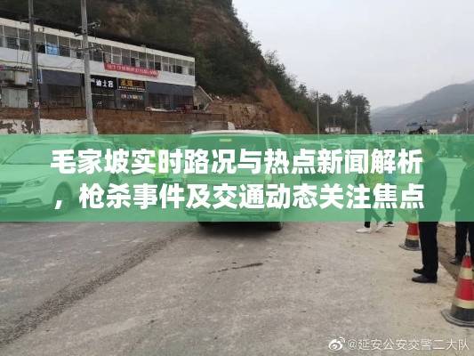 毛家坡实时路况与热点新闻解析,枪杀事件及交通动态关注焦点