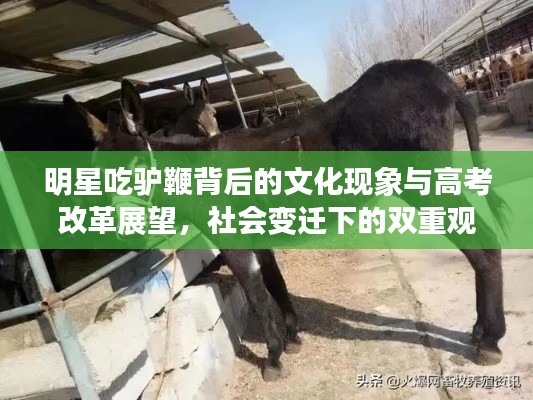 明星吃驴鞭背后的文化现象与高考改革展望,社会变迁下的双重观察