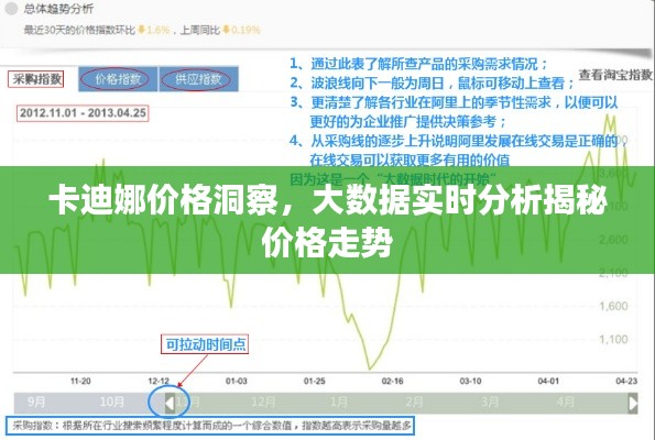 卡迪娜价格洞察,大数据实时分析揭秘价格走势