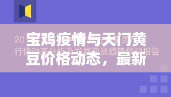宝鸡疫情与天门黄豆价格动态，最新报道与趋势分析