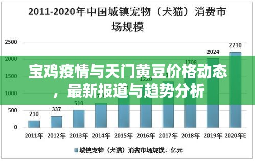 宝鸡疫情与天门黄豆价格动态,最新报道与趋势分析