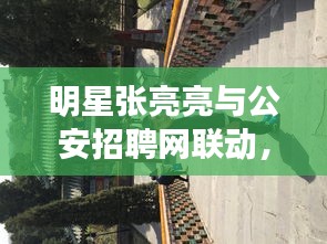 明星张亮亮与公安招聘网联动,最新招聘动态揭秘